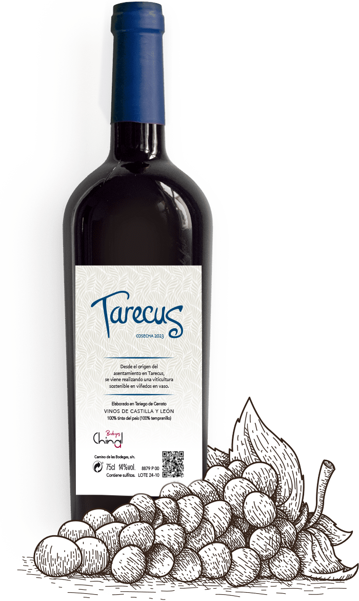 Tarecus